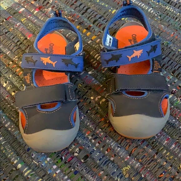 oshkosh shark water shoes